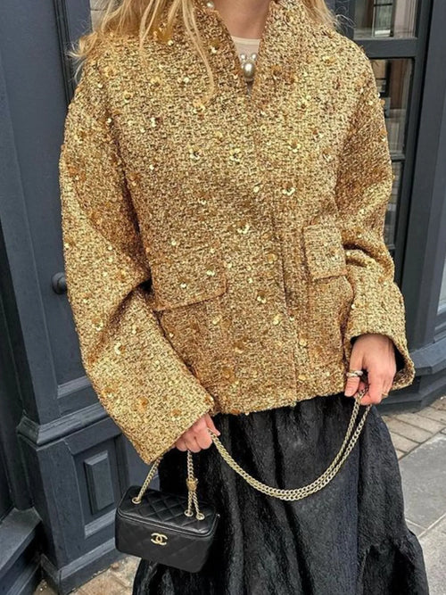 Sequin Long Sleeve Jacket with Pockets